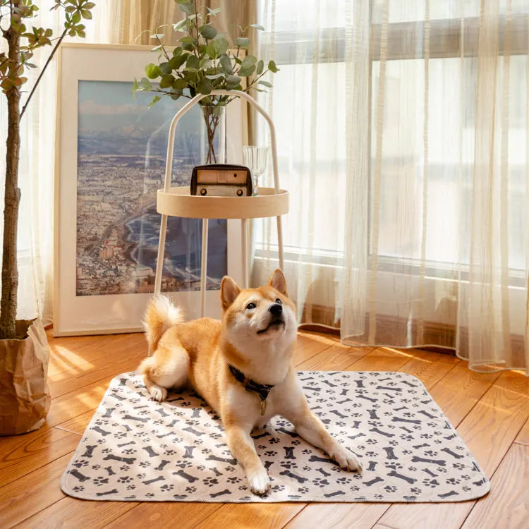 EddieRabbit's Pawsome Pads